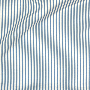 french-blue-morgan-stripe